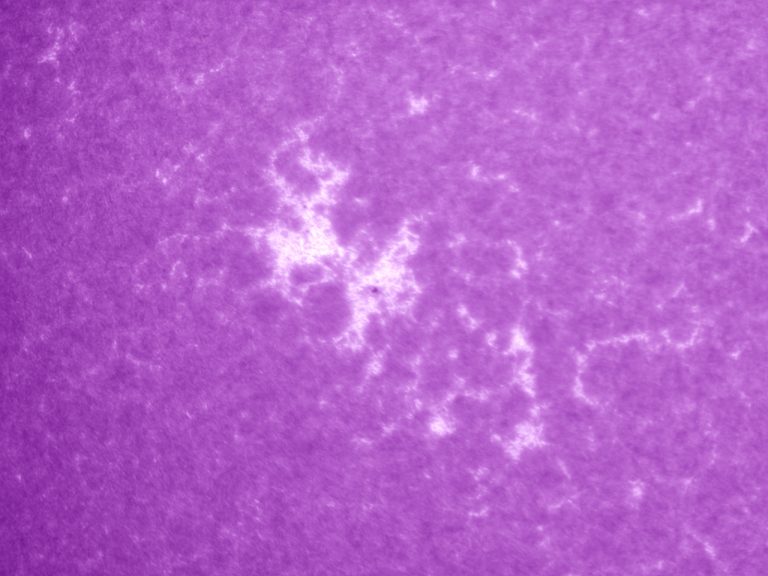Beobachtung am 16.06.2018